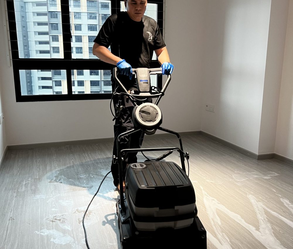 Dustaway vinyl cleaning service