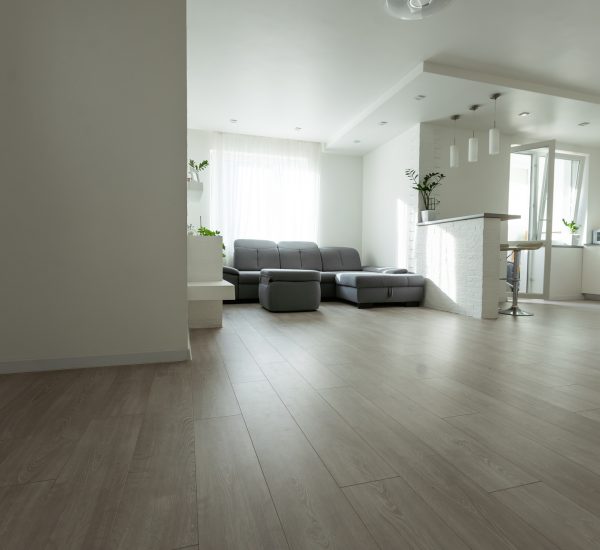 white apartment, sofa gray sun. High quality photo
